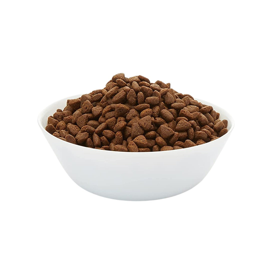 Chicken Cat Dry Food – ASH Pet Shop